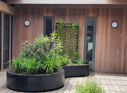 Community Courtyard by Botanical Traditions